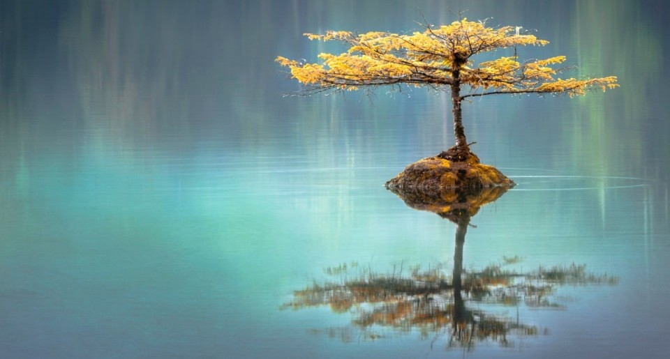 embodiment, psychology and the bodymind connection